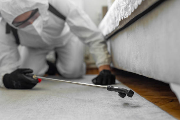 Professional Cockroach Control technician working in Gueydan, LA